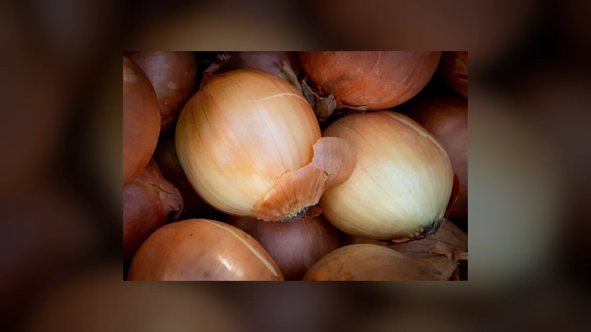 У Києві 17 та 18 жовтня відбудуться продуктові ярмарки: локації у районах