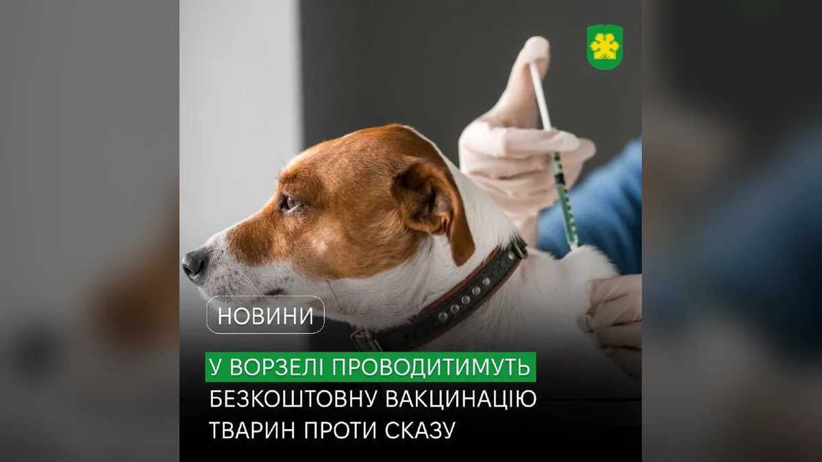 У Ворзелі ввели карантин через сказ і 16 жовтня щеплюватимуть тварин